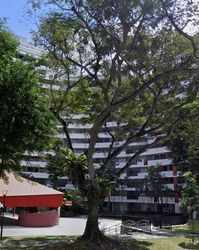 Blk 159 Hougang Street 11 (Hougang), HDB 4 Rooms #522879331